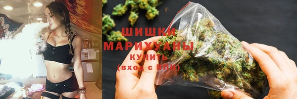 мет Бородино