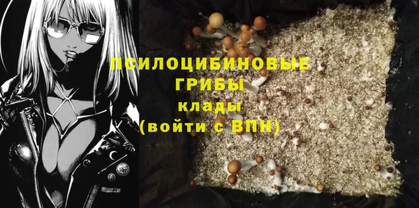 экстази Богородицк