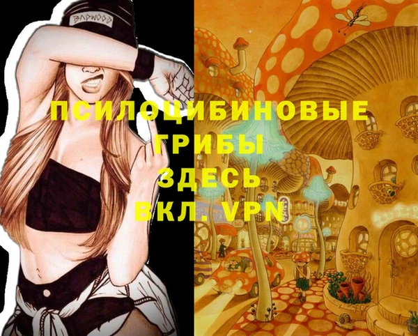 мет Бородино