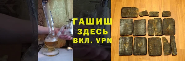 гидра Карпинск