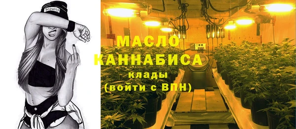 мет Бородино