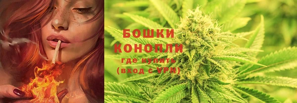 мет Бородино