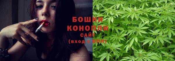 мет Бородино