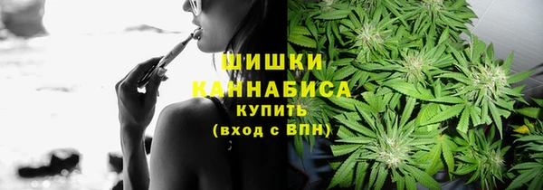 МДПВ Бронницы