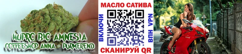 Дистиллят ТГК гашишное масло  darknet клад  Кирс  ссылка на мегу сайт 